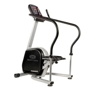 Stepper Pegasus Bodytone