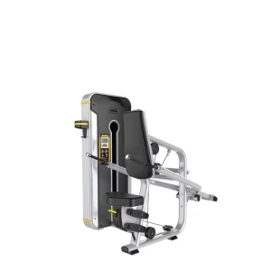 Triceps Dips Power Line